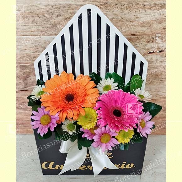 Sobre Chico con Rosas